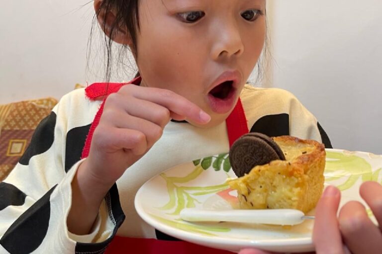 LadybirdArts HomeSewingCollection