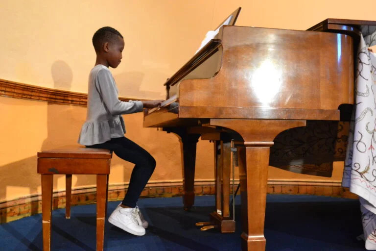 LadybirdArts HomeMusicCollection2