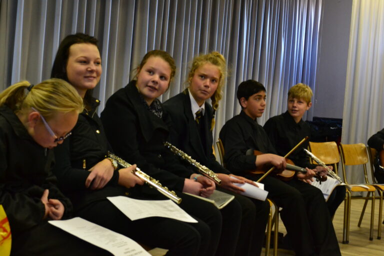 LadybirdArts HomeMusicCollection1