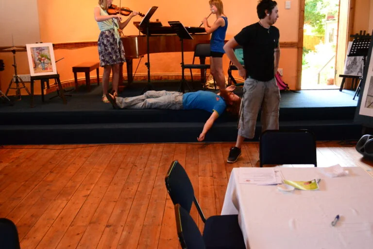 LadybirdArts HomeDramaCollection