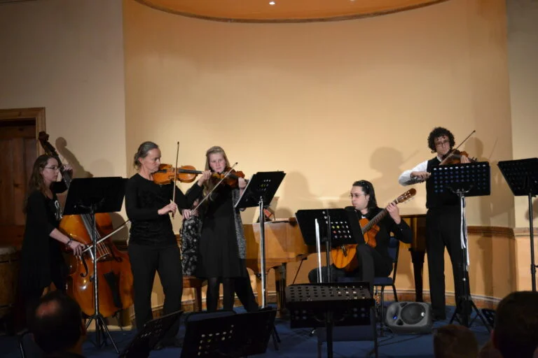 LadybirdArts HomeMusicCollection1