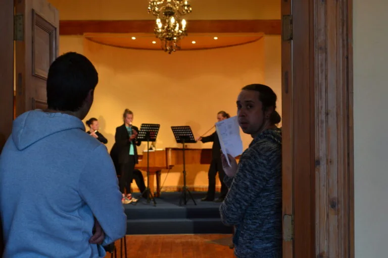 LadybirdArtscourses LadybirdArts HomeMusicCollection2