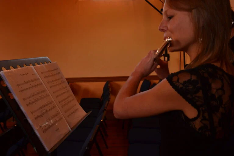 LadybirdArts HomeMusicCollection1