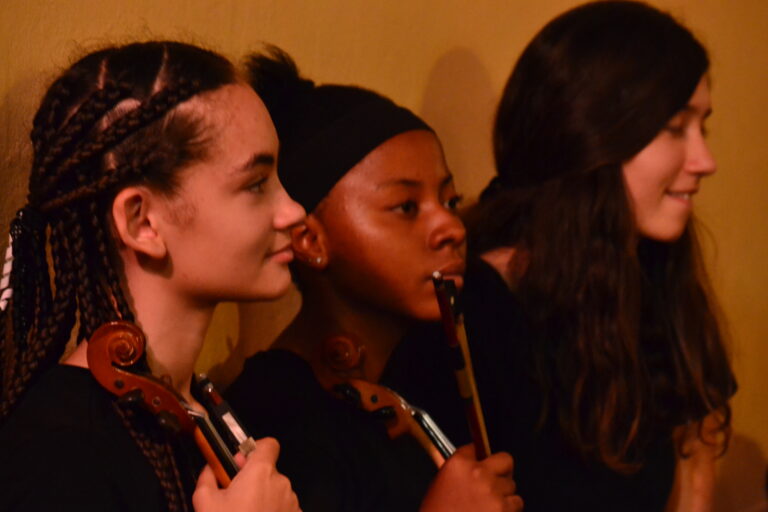 LadybirdArts HomeMusicCollection1