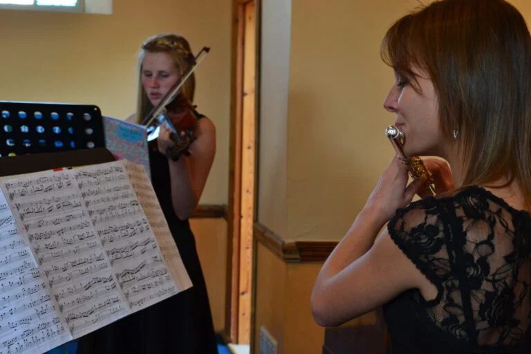 LadybirdArts HomeMusicCollection1