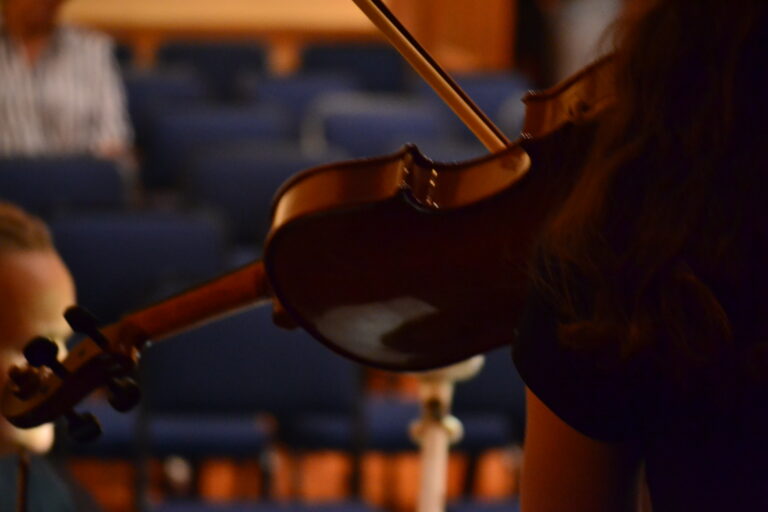 LadybirdArts HomeMusicCollection1