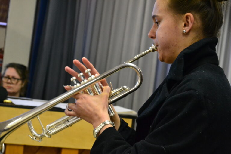 LadybirdArts HomeMusicCollection1