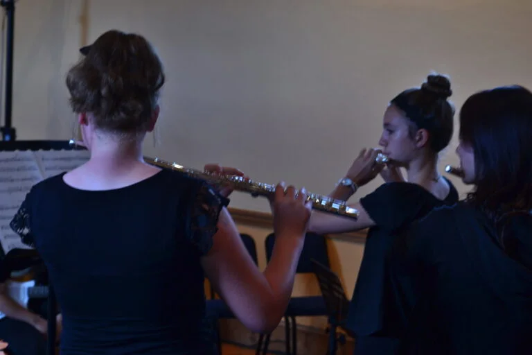 LadybirdArts HomeMusicCollection1