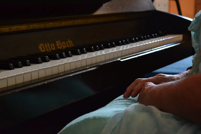 LadybirdArts HomeMusicCollection2