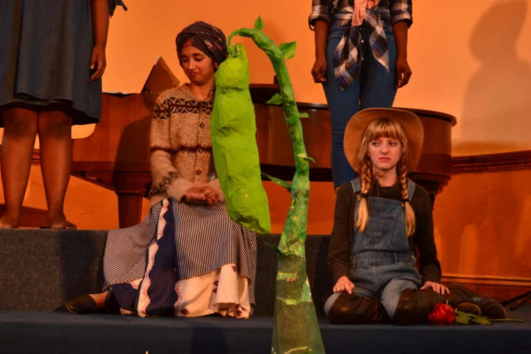 LadybirdArts HomeDramaCollection