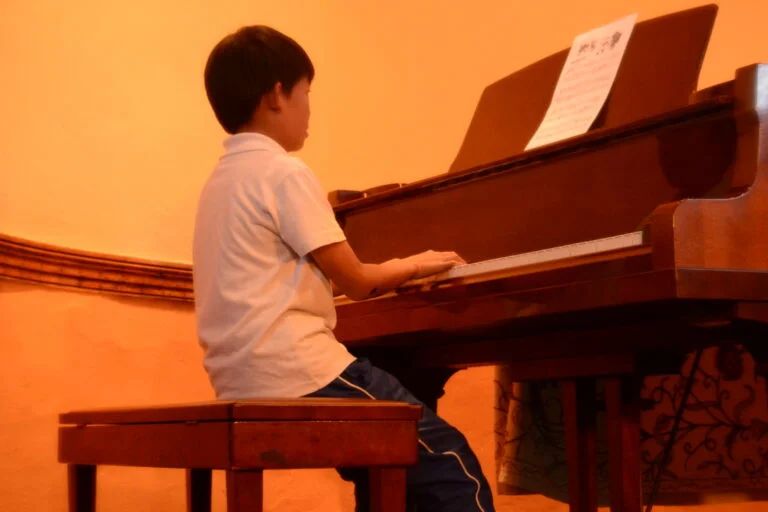 LadybirdArts HomeMusicCollection2