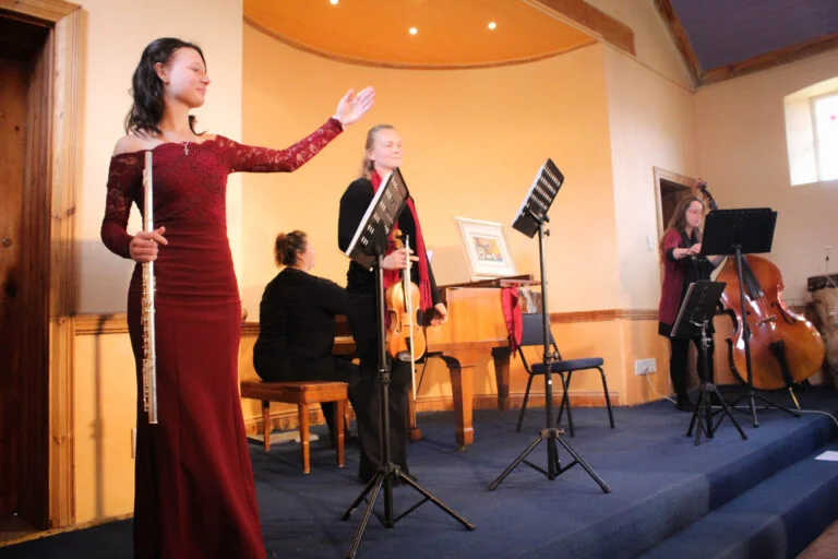 LadybirdArts HomeMusicCollection1