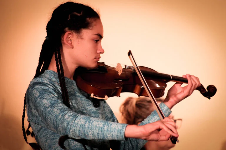 LadybirdArts HomeMusicCollection1