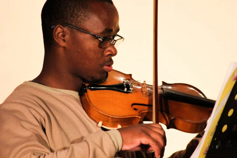 LadybirdArts HomeMusicCollection1