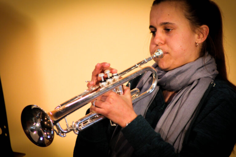 LadybirdArts HomeMusicCollection1