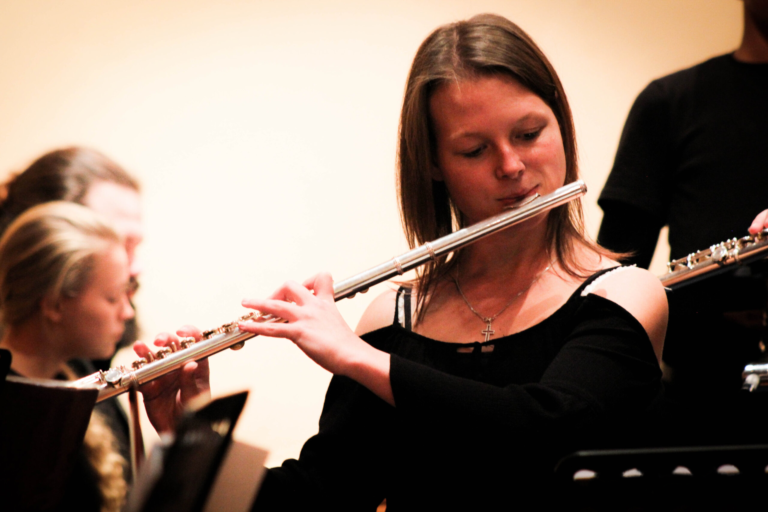 LadybirdArts HomeMusicCollection1