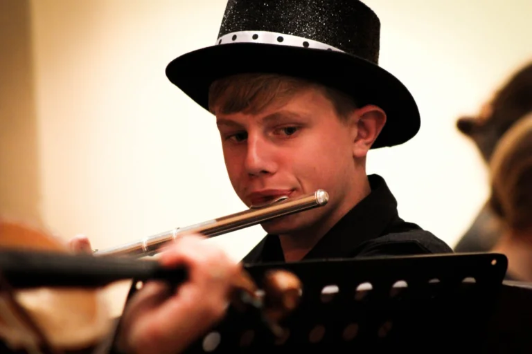 LadybirdArts HomeMusicCollection1