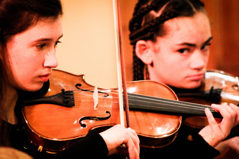 LadybirdArts HomeMusicCollection1