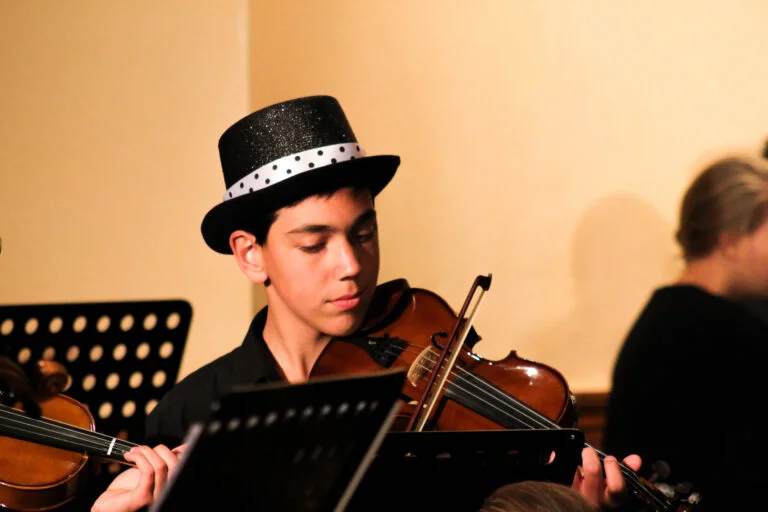 LadybirdArts HomeMusicCollection1